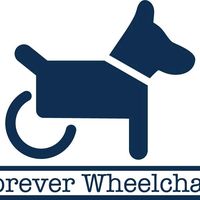 nhạc nền - trananhthu.foreverwheelchair