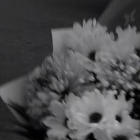 nhạc nền - D💤