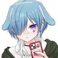 sora6236