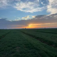 original sound - ryan1991q