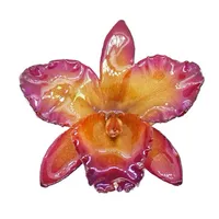 original sound - circescreate