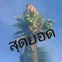 เสียงต้นฉบับ - สิริ..สายฮา
