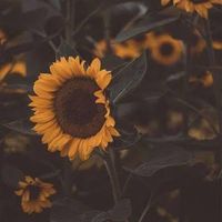 _.moody._7