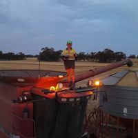 original sound - WillGrech