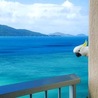 original sound - Your Year in Music!