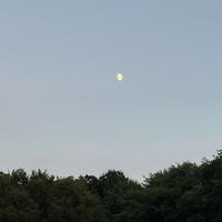オリジナル楽曲 - 🧸
