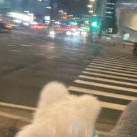 オリジナル楽曲 - 游娥🐈(ゆーが)