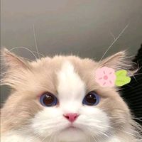សំឡេងដើម - ❤BTS❤ARMY❤