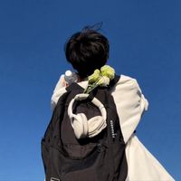 asl audio