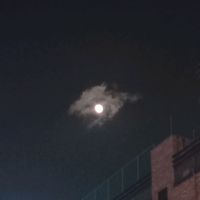 오리지널 사운드 - 수온약층