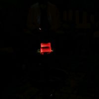 الصوت الأصلي