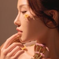 nhạc nền - Phan Nguyễn Ca Ca 💐