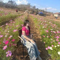 original sound - ____49785