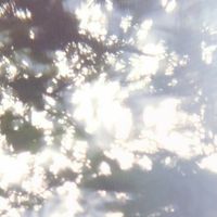 nhạc nền - fan account