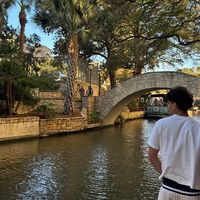 hodgehamu_