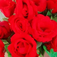 original sound - rasel.hossen788