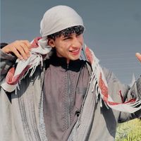الصوت الأصلي