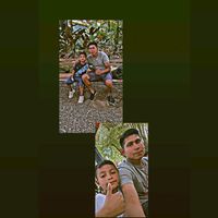 sonido original