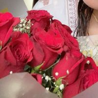 sunshine_7007