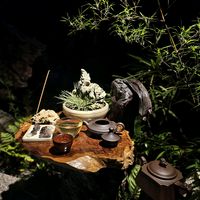 nhạc nền - Thủy Trúc Mộc