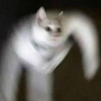 userqq8ajj4l0v