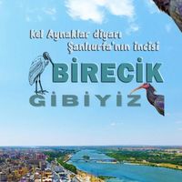 birecikgibiyiz