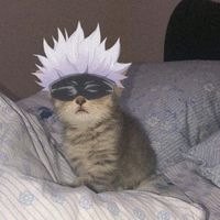 sulzanhoraaa