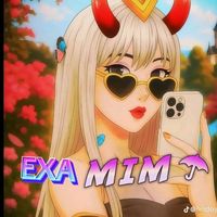 mimapu74
