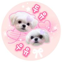 오리지널 사운드 - 밀크남매