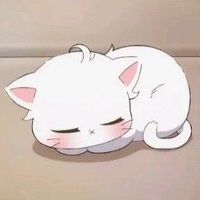 lovelygirl.cat