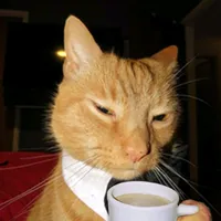 original sound - light_419