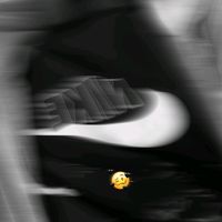 noface.sn