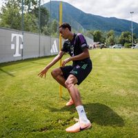 оригинальный звук