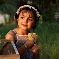 الصوت الأصلي