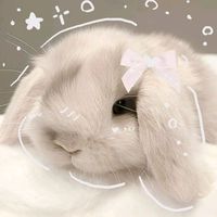 fangurl_tasmia