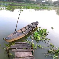 original sound - user814469458