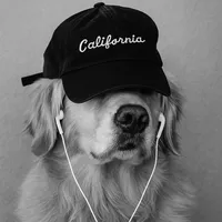 original sound - hellocacban221122