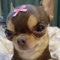 original sound - isisge3