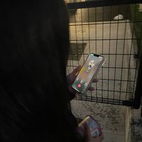 オリジナル楽曲 - ゆい