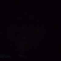 salo_gamer0