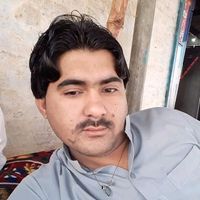 sardaroo444