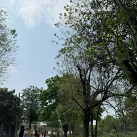 original sound - pinnedandpreety