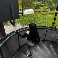 suara asli - ♊