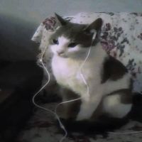 оригинальный звук