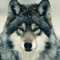 original sound - manfian2