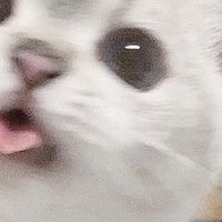 r___.1.9o