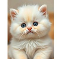 suara asli - MeowMotion ID