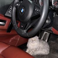 оригинальный звук