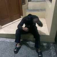 original sound - warrcoolbet