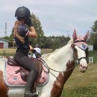 alz.real.riding